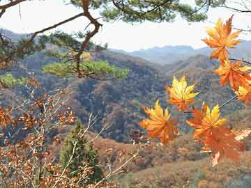 深圳龙岗GB 14443 工业烤箱第三方检测机构