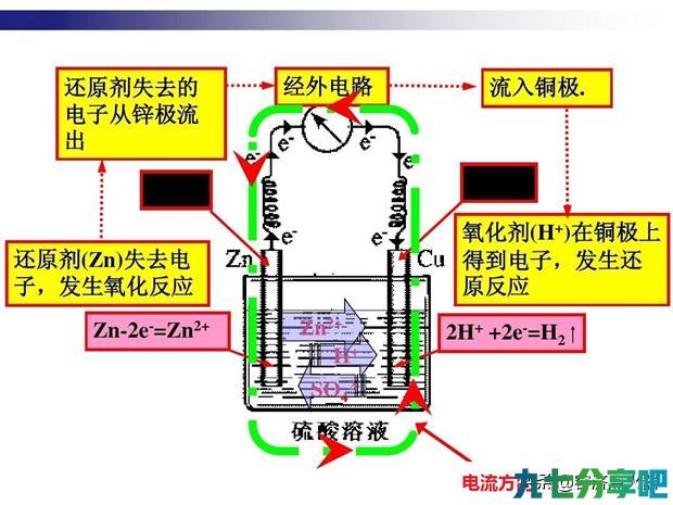 电鳗能放电电人，能把这个机理用在新能源汽车上吗？