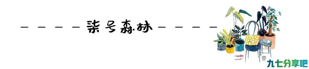 书荒安利！《你为什么不笑了》《穿成科举文男主的童养媳》