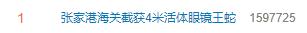 热搜第一！4米长巨型眼镜王蛇入境被截获，极毒、巨大、活的