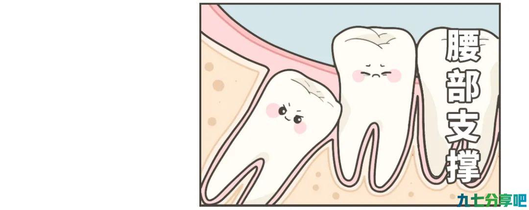 除了发炎，智齿到底有什么用？