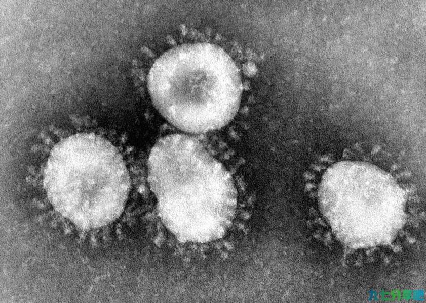 同为冠状病毒，“非典”能迅速消失，为何新冠历时两年仍未消除？