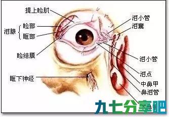 为什么眼皮跳个不停？你可能得了这3种病