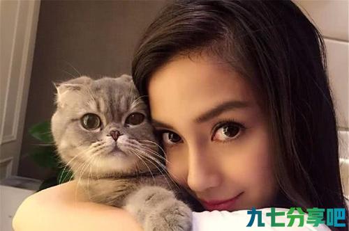 为什么大家都不太敢养“折耳猫”？这几点，不是人人都能接受