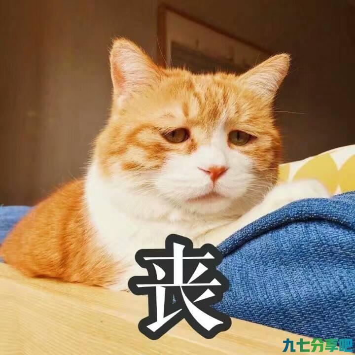 盘点5种不适合家庭饲养的猫，真的让人崩溃，养得越久越心累