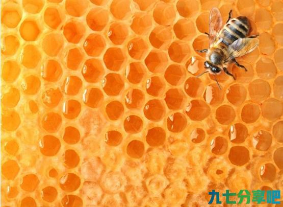 为什么蜂蜜可以被保存很久？