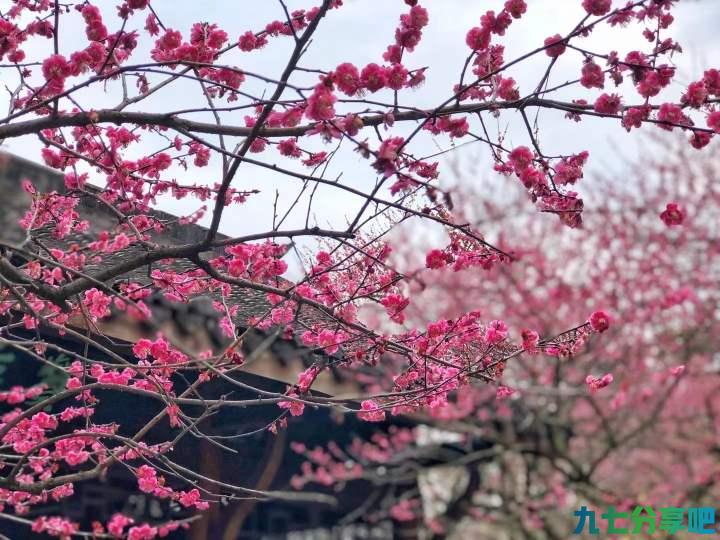 什么？又要下雪，还要结冰！全能型冷空气明晚起影响杭州，气温要大跌