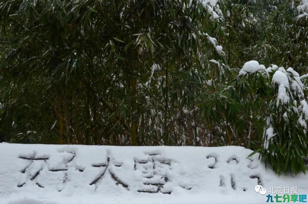 明天京城将迎入冬以来最冷早晨！气温还会回暖吗？专家解答