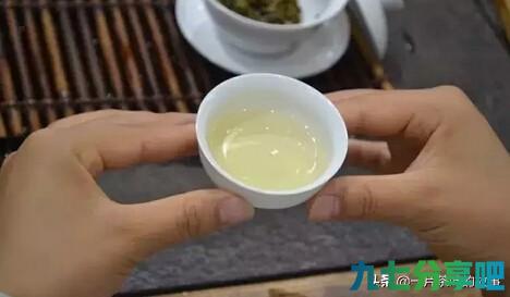 新手冲泡普洱茶的简易方法