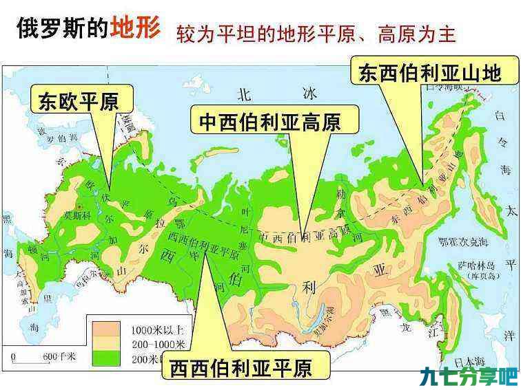 误入村庄的东北虎为什么取名“完达山1号”？真的不是因为奶粉