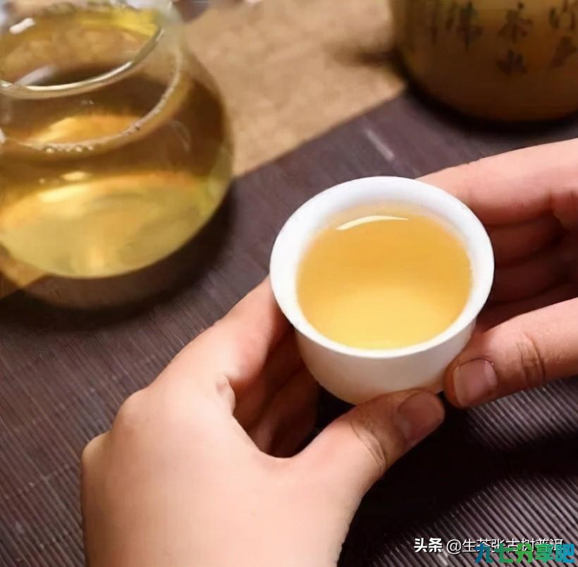 三分钟带你了解冲泡普洱茶，影响其口感的因素