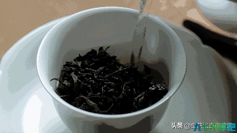 「冲泡技巧」普洱茶最讲究冲泡方法，如何冲泡喝起来更有滋味？