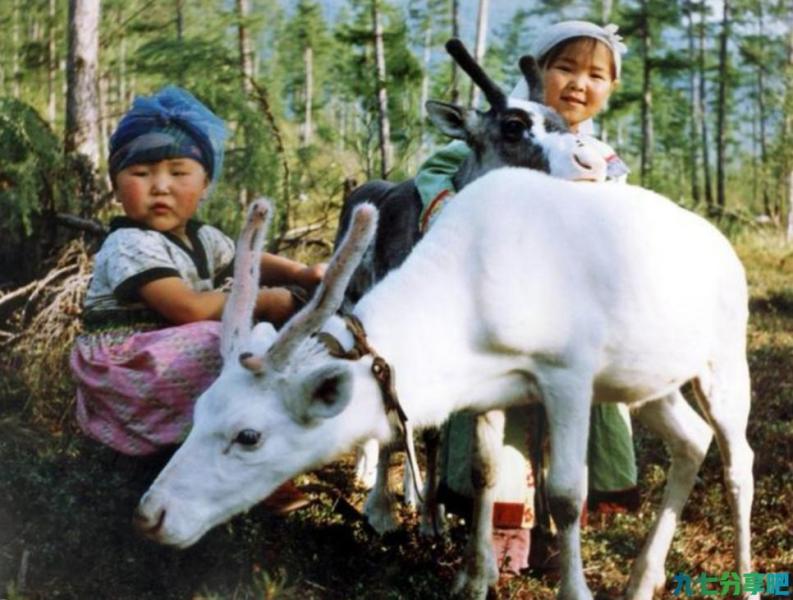 鹿肉：先祖吃的第一口熟肉