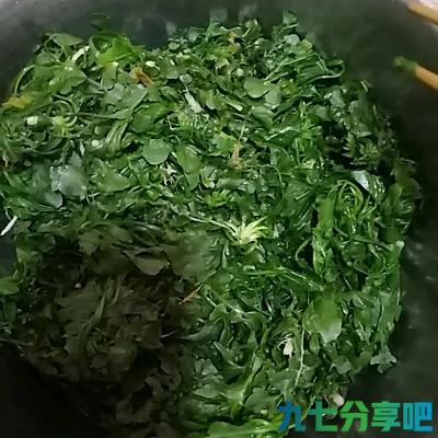 朋友一来就做荠菜肉馅饺子馄饨，吃得皆大欢喜好回家