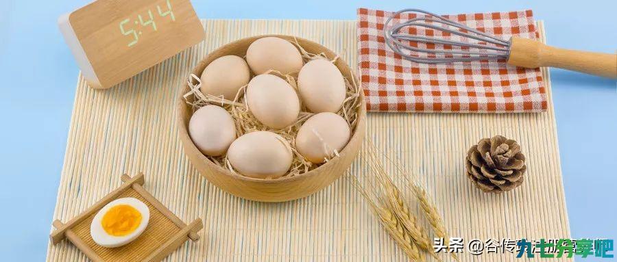 好吃又营养的鸡蛋怎么做？蒸、煮、煎、炒的窍门get起来