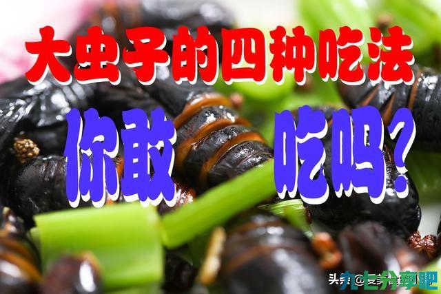 4种方法做高蛋白美食蚕蛹—营养又好吃