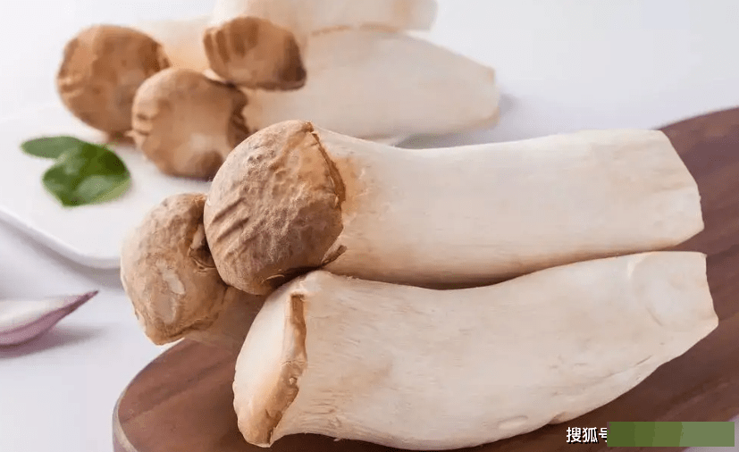 买杏鲍菇，别只会看大小，记住3点挑选技巧，买到新鲜的很简单​