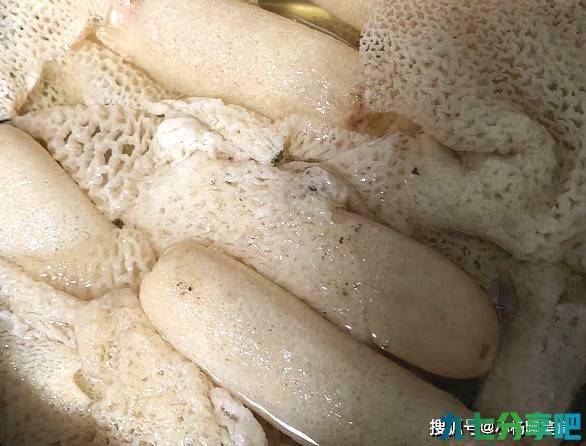 煮鸡汤加上“它”，孩子吃补钙聪明，女人减脂又洗肠