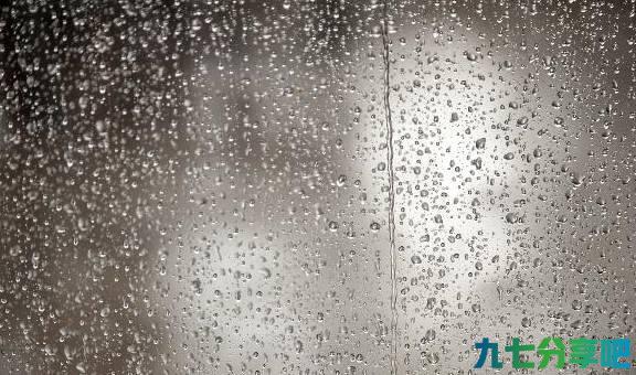 体内湿气重？祸根“揪”出来了，常吃天然健脾王，湿气一去不复返