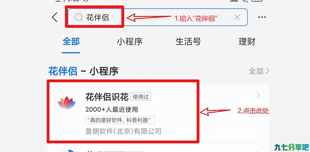 如何识别和获取花的种类和介绍