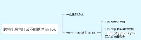 TikTok—跨境电商站外引流的重要渠道
