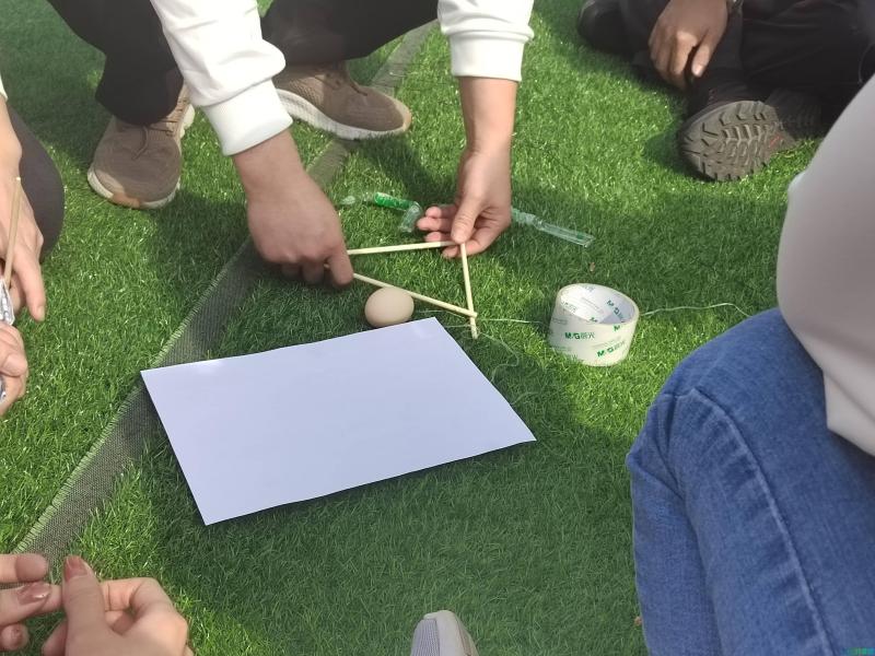 济南拓展训练｜金盾软件植树节主题团建活动