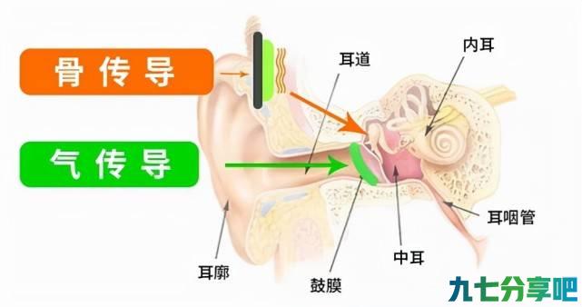 骨传导耳机副作用有哪些？骨传导耳机真的对人体有害吗？