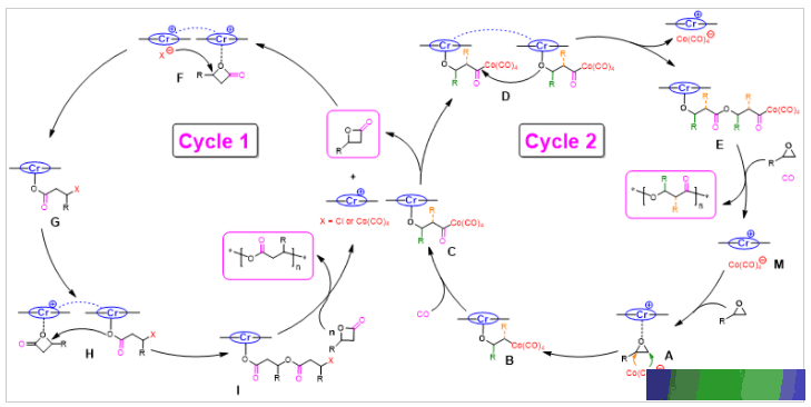 大连理工大学【Angew】：化学法高效合成聚羟基脂肪酸 第3张